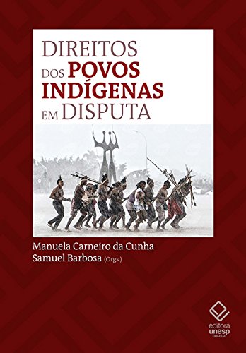 Livro PDF Direitos dos povos indígenas em disputa no STF