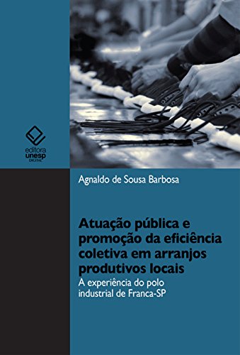 Livro PDF Atuação pública e promoção da eficiência coletiva em arranjos produtivos locais