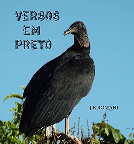 Livro PDF VERSOS EM PRETO: Ecos lógicos