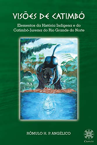 Capa do livro: VISÕES DE CATIMBÓ: Elementos da História Indígena e do Catimbó-Jurema do Rio Grande do Norte - Ler Online pdf