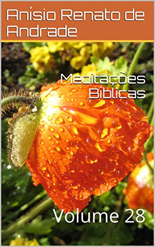 Livro PDF Meditações Bíblicas: Volume 28