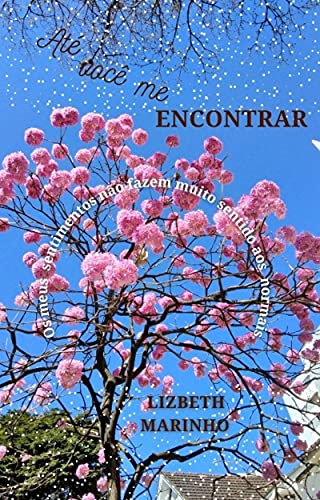 Capa do livro: Até você me encontrar - Ler Online pdf