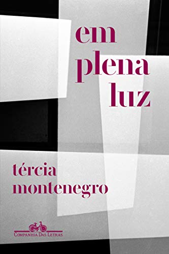 Livro PDF: Em plena luz