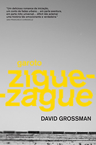 Livro PDF Garoto zigue-zague