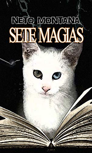 Livro PDF Sete magias