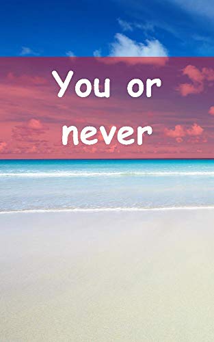 Capa do livro: You or never - Ler Online pdf