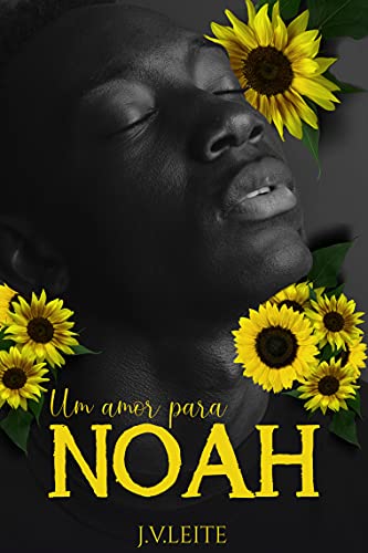 Livro PDF Um amor para Noah