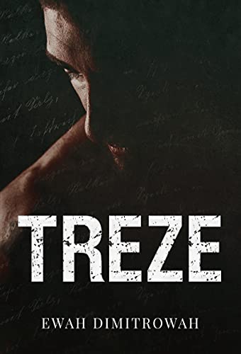 Livro PDF: TREZE