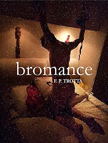 Livro PDF Bromance: Baseado em Fatos Reais