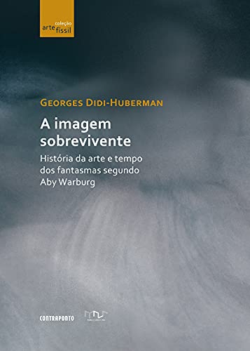 Livro PDF A imagem sobrevivente