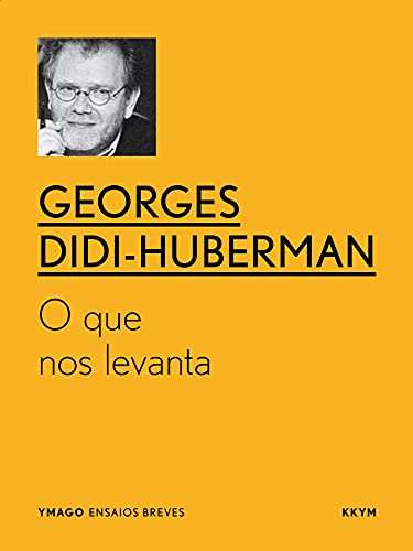 Livro PDF O que nos levanta (ymago ebooks)