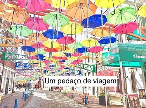 Livro PDF Um pedaço de viagem